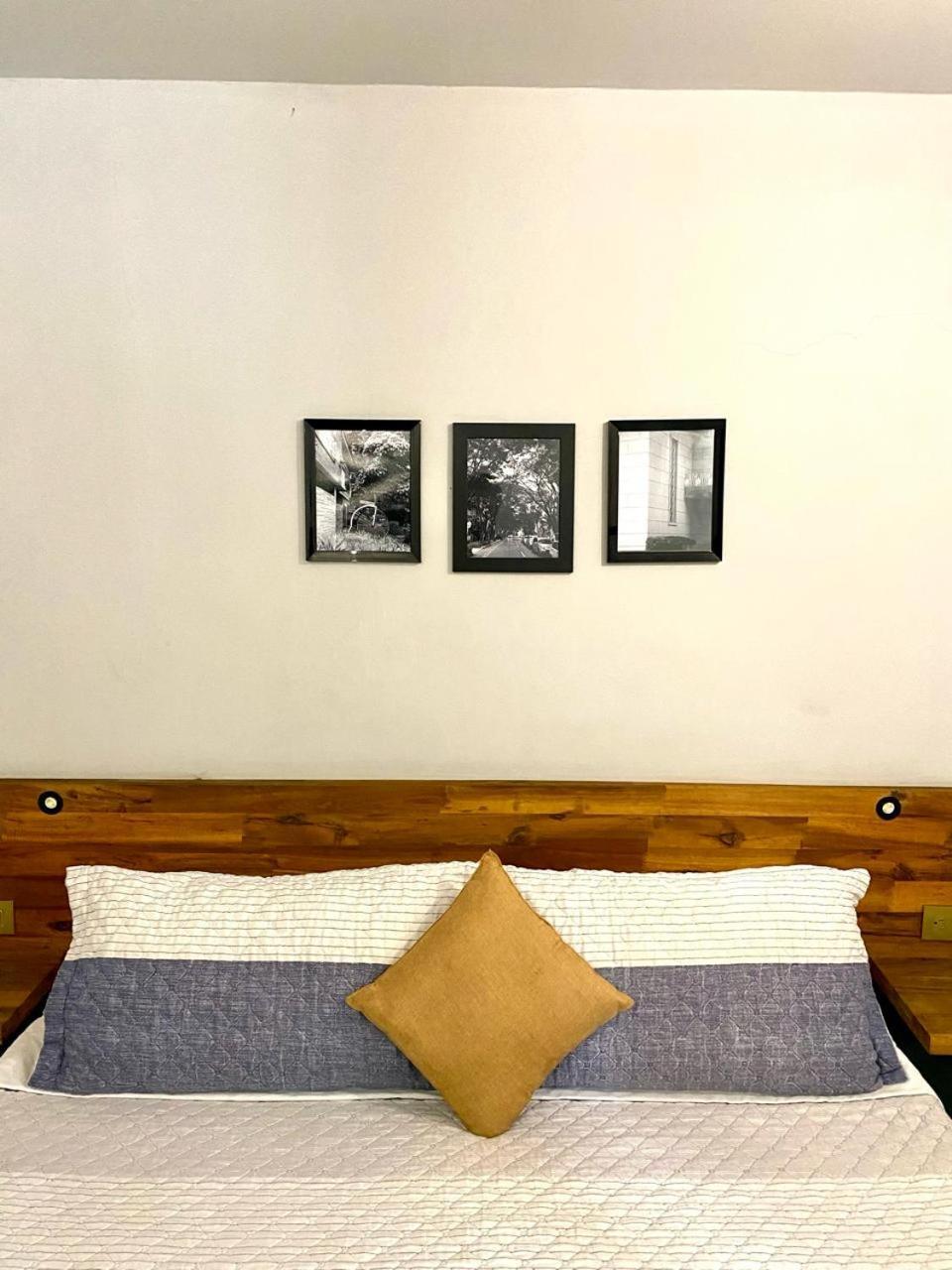 فندق Casa Mosaiko Patio Bonito ميديلين المظهر الخارجي الصورة